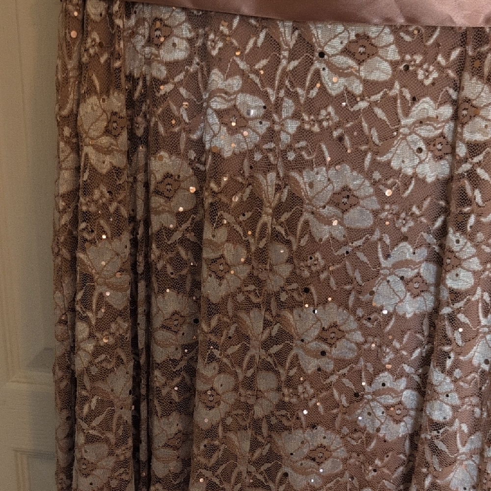 Chic Floral Lace Maxi Dress in Blush NWOT - Picture 6 of 9